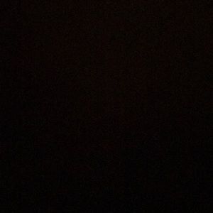 Meet your Posher, Tavia